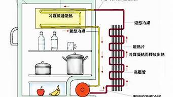 电冰箱的工作原理是_电冰箱的工作原理是什么